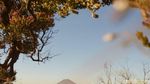 Liburan Nikita Willy Sekeluarga di Bromo: Nikmati Sunrise-Naik Kuda