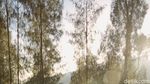 Liburan Nikita Willy Sekeluarga di Bromo: Nikmati Sunrise-Naik Kuda