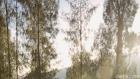 Nikita juga mengunggah foto aktivitas pagi di Plataran Bromo, salah satu hotel mewah di kawasan Gunung Bromo. Dari hotel ini, traveler bisa mendapatkan view Gunung Bromo. Pada area pandang di Plataran Bromo bahkan terdapat penunjuk arah ke spot-spot terkenal di sekitar, seperti Bromo, Danau Ranu Pani Lumajang, Gunung Semeru, Gunung Arjuna Pandaan, Bukit Tanggulangin, dsb. (Instagram/Nikita Willy)