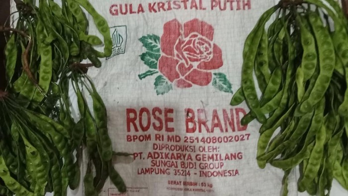 Detik-detik Pemilik Kebun di Muba Tembak Pencuri Petai dengan Senapan Angin