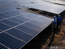 Menjaga Panel Surya Menerangi Rumah-rumah Warga