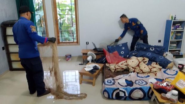 Proses evakuasi kucing liar yang masuk rumah warga oleh Damkar Kuningan