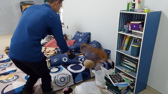 Proses evakuasi kucing liar yang masuk rumah warga oleh Damkar Kuningan