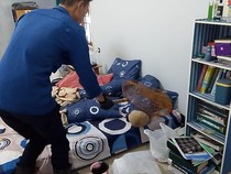 Kucing Liar dari Kuburan Acak-acak Rumah, Warga Kuningan Panggil Damkar