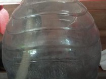 Mak Jegagik! Warga Cawas Klaten Ketemu Kobra 1,2 Meter Saat Wudu