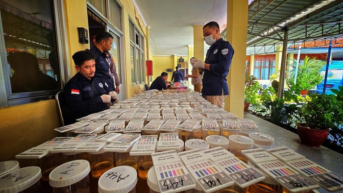 Ratusan Botol Urine ASN Sukabumi Diperiksa BNN, Termasuk Milik Bupati