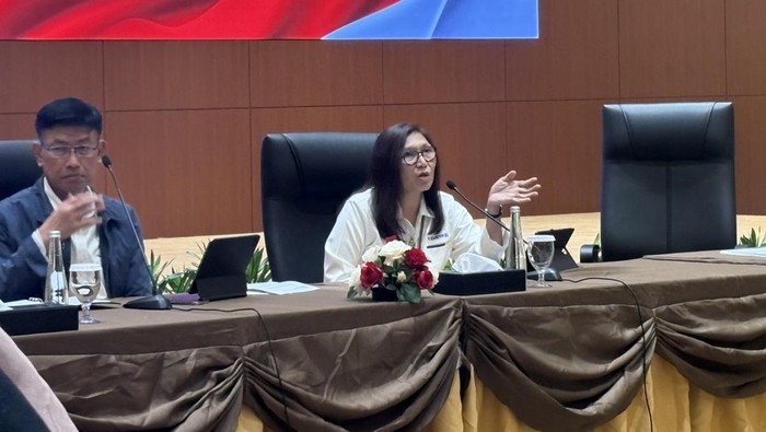 Direktur Penyuluhan, Pelayanan, dan Hubungan Masyarakat Kementerian Keuangan Rosmauli.