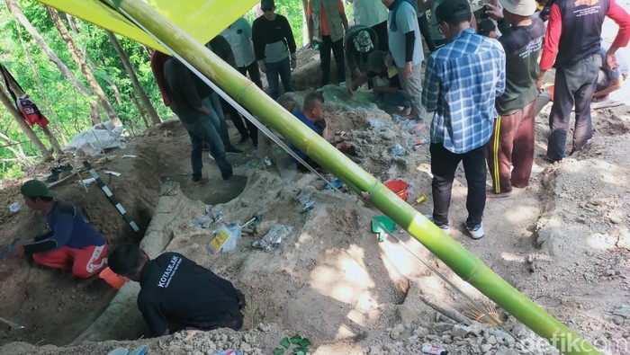 Ini Perkiraan Usia Fosil Gajah Purba yang Ditemukan di Nganjuk