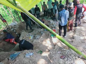 Ini Perkiraan Usia Fosil Gajah Purba yang Ditemukan di Nganjuk