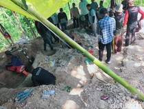 Ini Perkiraan Usia Fosil Gajah Purba yang Ditemukan di Nganjuk