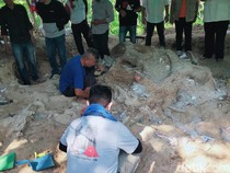 Fosil Gajah Purba Raksasa Ditemukan di Pegunungan Pandan Nganjuk