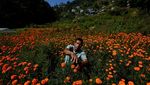 Kilau Oranye Marigold Sambut Festival Tihar di Nepal