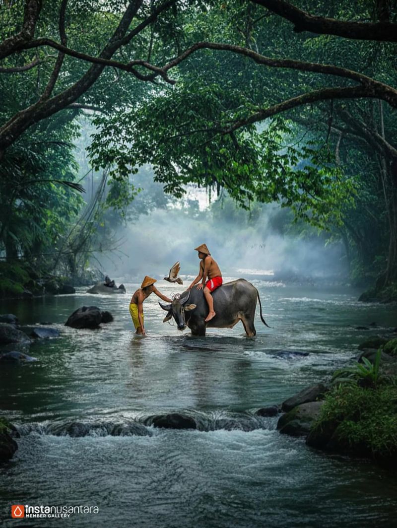 Komunitas Instanusantara Komunitas Instanusantara