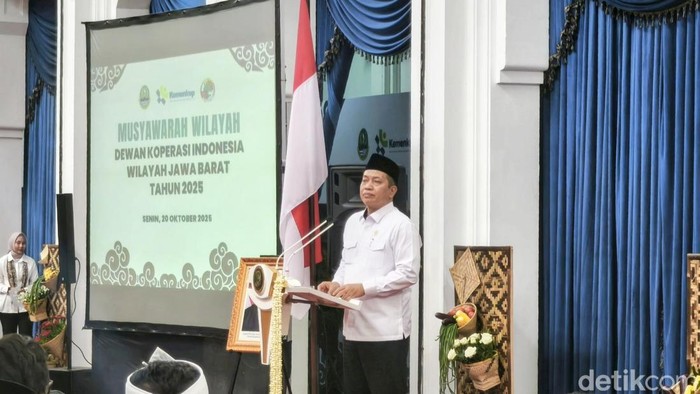 Menteri Koperasi Ferry Juliantono