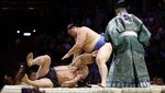 Royal Albert Hall Jadi Saksi Kembalinya Sumo ke Inggris Setelah 34 Tahun