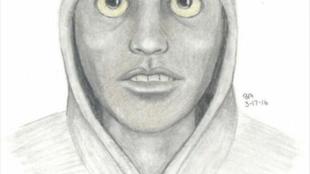 Tersangka digambarkan sebagai pria kulit hitam berusia 25 hingga 30 tahun. Tingginya sekitar 170 cm hingga 180 cm dengan perawakan ramping. Ia digambarkan bercukur bersih. Dalam kebanyakan kasus, tersangka mengenakan sweter berkerudung dengan tudung di atas kepalanya. Foto: Boredpanda