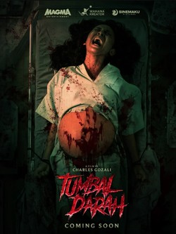 Tumbal Darah: Persalinan Berujung Petaka