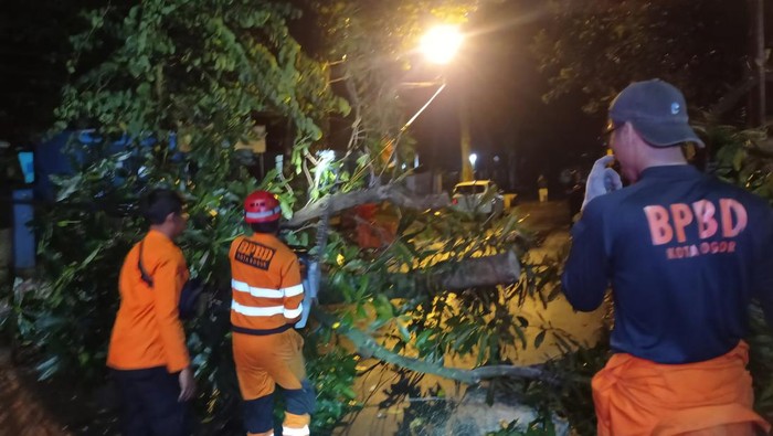 7 titik di Kota Bogor diterpa longsor dan pohon tumbang (dok. BPBD Bogor)