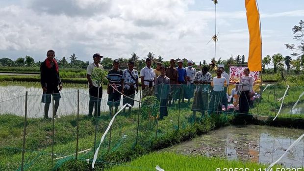 Aiptu Ngurah Rai bina petani di Jembaran, Bali Aiptu Ngurah Rai bina petani di Jembaran, Bali