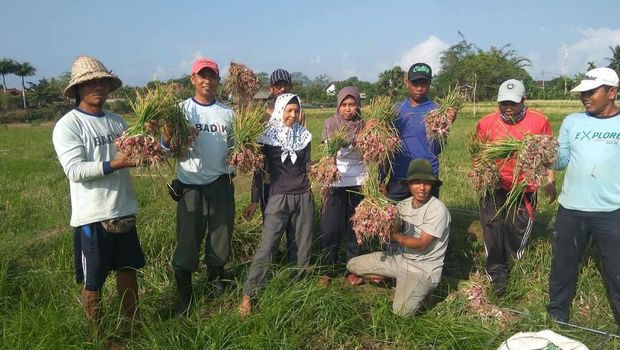 Aiptu Ngurah Rai bina petani di Jembaran, Bali Aiptu Ngurah Rai bina petani di Jembaran, Bali