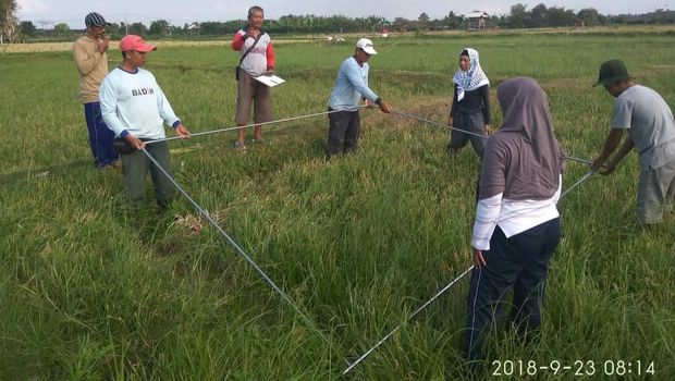 Aiptu Ngurah Rai bina petani di Jembaran, Bali