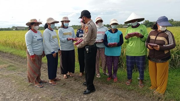 Aiptu Ngurah Rai bina petani di Jembaran, Bali Aiptu Ngurah Rai bina petani di Jembaran, Bali