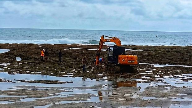 Aktivitas alat berat di karang pesisir Minajaya Aktivitas alat berat di karang pesisir Minajaya