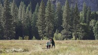 Wisatawan menikmati pemandangan lembah Yosemite di tengah keterbatasan layanan akibat penutupan pemerintah AS yang memasuki minggu ketiga. REUTERS/Joseph Campbell