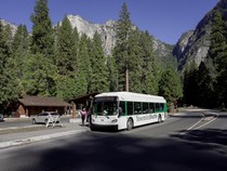 AS Shutdown Nggak Ngaruh, Yosemite Tetap Ramai Wisatawan