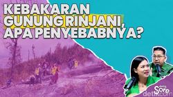 Video: Update Terbaru Kebakaran di Area Gunung Rinjani