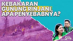 Video: Update Terbaru Kebakaran di Area Gunung Rinjani
