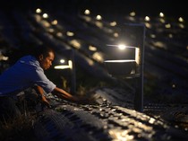 Inovasi Petani Solok Usir Hama Tanpa Banyak Pestisida