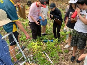 Momen Komunitas Mangrove Jakarta menanam mangrove di Angke Kapuk