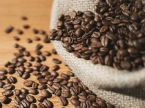 5 Negara di Asia yang Sukses Jadi Distributor Biji Kopi Terbaik, Ada Indonesia!