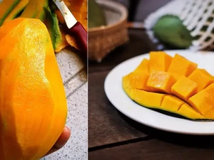 5 Fakta Mangga Harumanis Khusus yang Hanya Ditemukan di Perlis