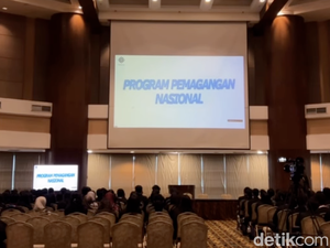 Kini Lulusan Magang Hub Kemnaker Dapat Sertifikat Gratis, Ini Keuntungannya