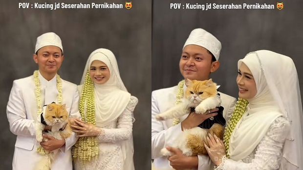 Pengantin ini memilih kucing sebagai seserahan pernikahan bikin warganet auto gemas. Unggahan suasana pernikahan di Banjarmasin, Kalimantan Selatan itu langsung viral di media sosial.