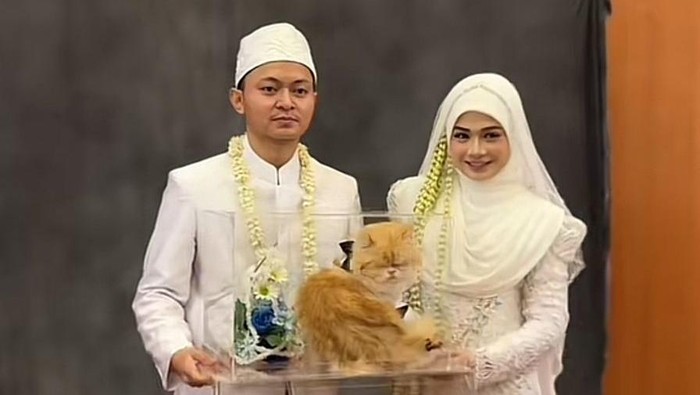 Pengantin ini memilih kucing sebagai seserahan pernikahan bikin warganet auto gemas. Unggahan suasana pernikahan di Banjarmasin, Kalimantan Selatan itu langsung viral di media sosial.