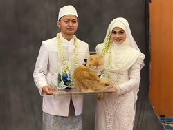 Viral Pengantin Ini Jadikan Kucing Sebagai Seserahan Nikah, Netizen Gemas