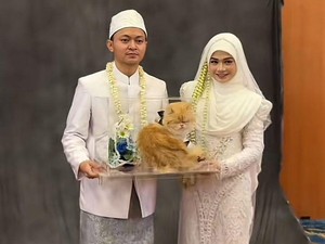 Pengantin di Banjarmasin Viral karena Seserahan Kucing