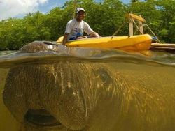 Deretan Photobomb Lucu yang Bikin Ngakak Guling-guling!