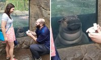 Photobomb kocak