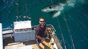 Photobomb Foto Hiu Foto: Boredpanda