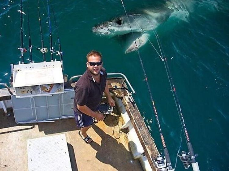 Deretan Photobomb Lucu yang Bikin Ngakak Guling-guling!