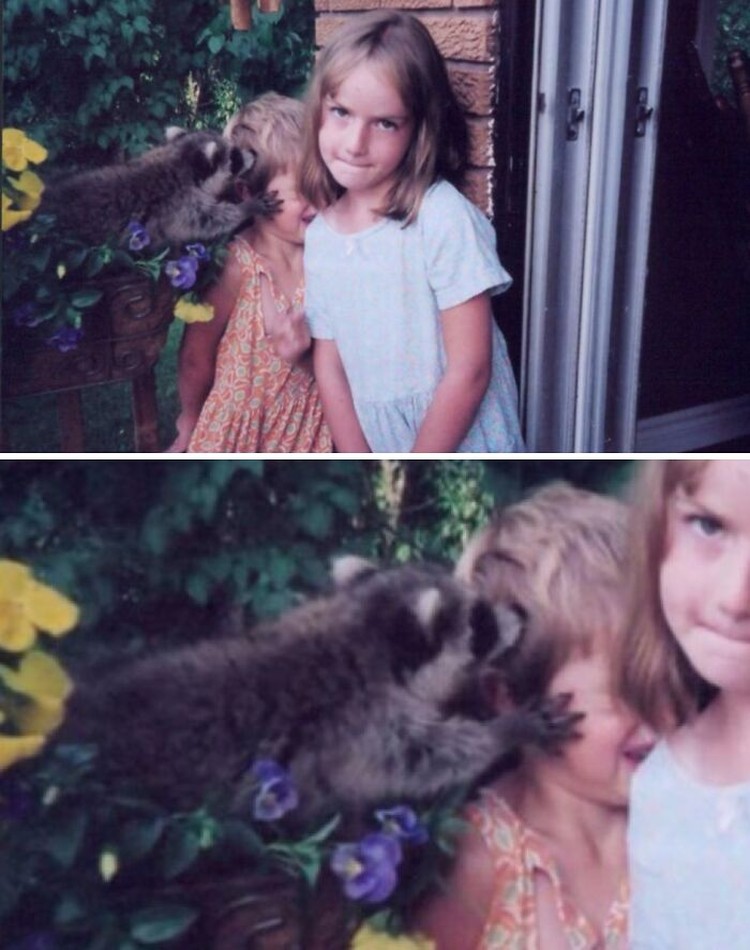 Photobomb kocak