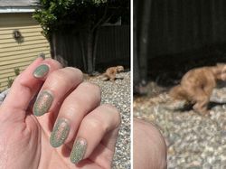 Deretan Photobomb Lucu yang Bikin Ngakak Guling-guling!