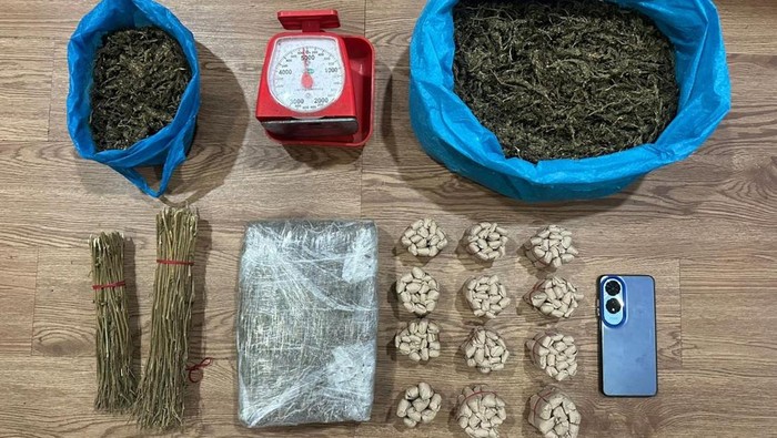 Polisi menangkap 1 pria dan menyita 2,6 kg ganja di Batam. (Foto: Dok Ditresnarkoba Polda Kepri).