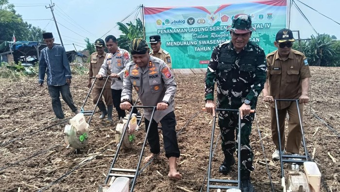 Polres Serang mendukung program ketahanan pangan melalui penanaman jagung serentak pada Kuartal IV.