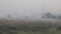 Ibu kota India berjuang melawan polusi setiap musim dingin saat udara dingin memerangkap debu, emisi, dan asap dari kebakaran pertanian di negara bagian tetangga Punjab dan Haryana, dengan petasan memperburuk masalah setelah Diwali. REUTERS/Bhawika Chhabra