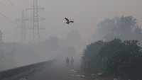 Tingkat polusi udara di New Delhi anjlok, mengurangi jarak pandang di seluruh kota saat warga merayakan Diwali, festival cahaya India, yang seringkali bertepatan dengan peningkatan emisi dari pembakaran sisa tanaman di negara bagian tetangga. REUTERS/Bhawika Chhabra